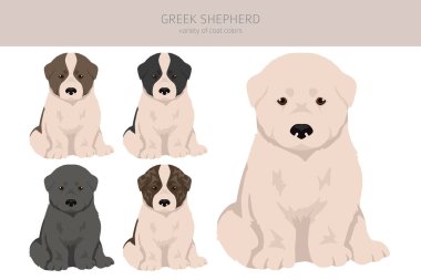 Yunan Çoban Klibi. Farklı ceket renkleri. Vektör illüstrasyonu