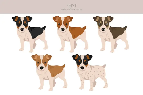 Feist Dog Clipart Different Coat Colors Set Vector Illustration Vetores De Stock Royalty-Free
