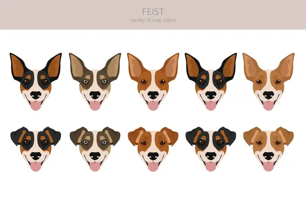 Feist Dog Clipart Different Coat Colors Set Vector Illustration 스톡 벡터
