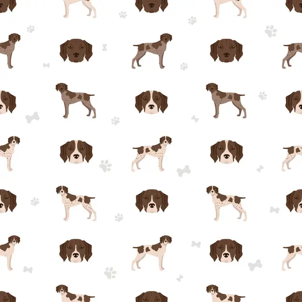 Французская Собака Указателями Бесшовный Рисунок Стиле Гасконь Разные Позы Набор Векторная Графика
