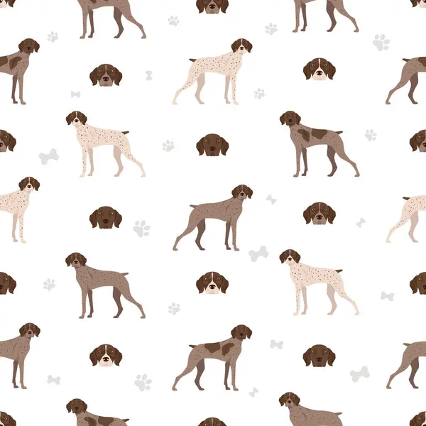 Французская Собака Указатель Пиренейский Тип Бесшовный Рисунок Разные Позы Набор Стоковая Иллюстрация