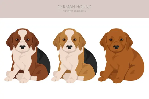 Alemão Cão Cachorro Clipart Conjunto Cores Casaco Diferentes Ilustração Vetorial Vetores De Stock Royalty-Free