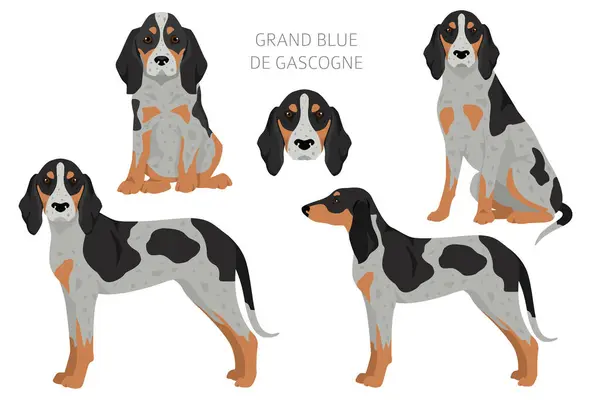Grand Bleu Gascogne Clipart Different Coat Colors Set Vector Illustration Gráficos vectoriales