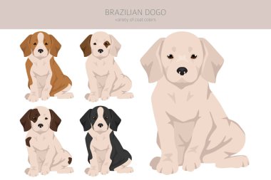 Brezilya Dogo köpek yavrusu kırpması. Farklı ceket renkleri ve pozlar. Vektör illüstrasyonu