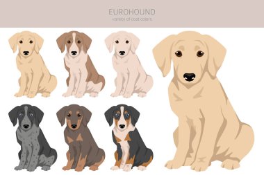 Eurohound klibi. Farklı ceket renkleri. Vektör illüstrasyonu
