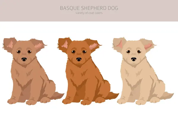 バスクシェパード犬 すべての色の子犬のクリップ 異なるコートの色とポーズセット ベクトルイラスト ロイヤリティフリーのストックイラスト