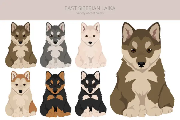 Oost Siberische Laika Puppy Clipart Verschillende Kleuren Jas Set Vectorillustratie Rechtenvrije Stockillustraties