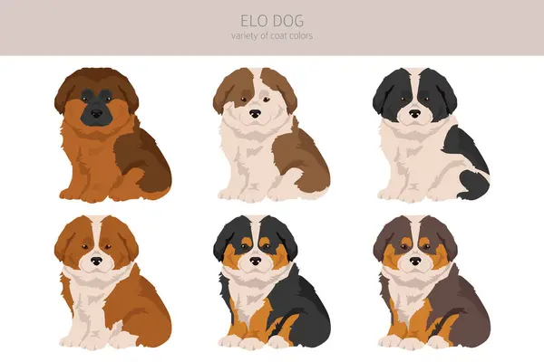 Elo Dog Clipart Different Coat Colors Set Vector Illustration Стоковый вектор