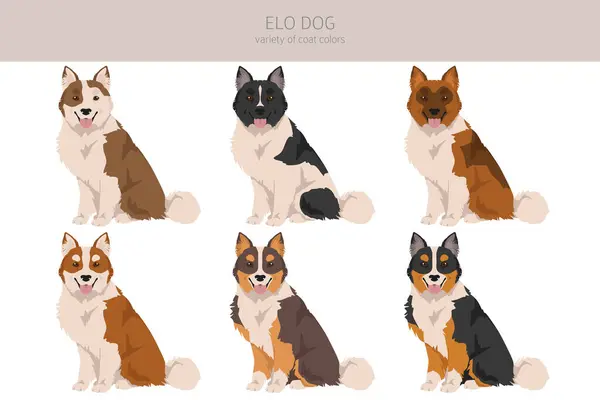 Elo Dog Clipart Different Coat Colors Set Vector Illustration Стоковая Иллюстрация
