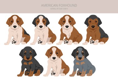 Amerikan av köpeği köpek yavrusu. Tüm renkler toplansın. Farklı ceket renkleri. Vektör illüstrasyonu
