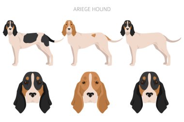 Ariege av köpeği kırpması. Farklı pozlar, farklı renkler. vektör illüstrasyonu