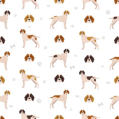 Ariege işaretçisi kusursuz desen. Farklı pozlar, farklı renkler. vektör illüstrasyonu