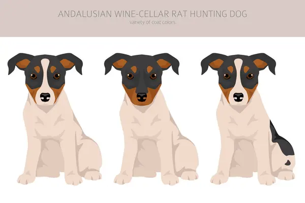 アンダルシアのワインセラーラット狩猟犬の子犬クリップパート 異なるポーズ コートカラーセット ベクトルイラスト ロイヤリティフリーストックベクター