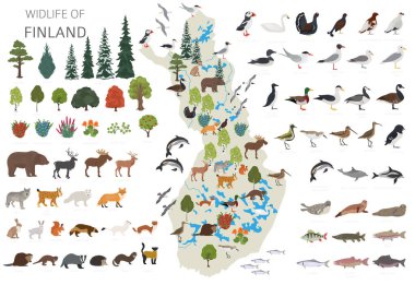 Finlandiya vahşi hayatının düz tasarımı. Hayvanlar, kuşlar ve bitkiler beyaz sette izole edilmiş elementler. Kendi coğrafya bilgi koleksiyonunuzu oluşturun. Vektör illüstrasyonu