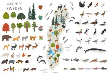 Sweden wildlife geography. Animals, birds and plants constructor elements isolated on white set. Swedish nature infographic. Vector illustration clipart