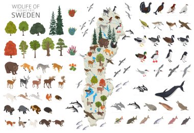 İsveç 3 boyutlu vahşi yaşam coğrafyası. Hayvanlar, kuşlar ve bitkiler beyaz sette izole edilmiş elementler. İsveç doğa bilgisi. Vektör illüstrasyonu