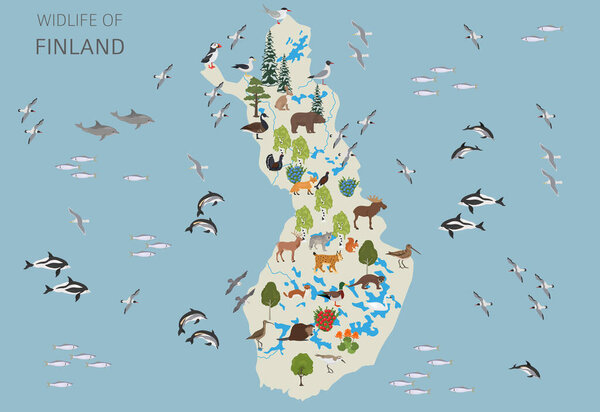 Flat design of Finland wildlife. Animals, birds and plants constructor elements isolated on white set. Build your own geography infographics collection. Vector illustration