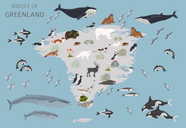 Grönland coğrafyası. Grönland Vahşi Hayatı Tasarımı. Hayvanlar, kuşlar ve bitkiler beyaz sette izole edilmiş elementler. Vektör illüstrasyonu