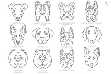 Köpek kafası siluetleri alfabe sırasına göre. Bütün köpek türleri. Basit çizgi vektör tasarımı. Vektör illüstrasyonu