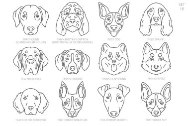 Köpek kafası siluetleri alfabe sırasına göre. Bütün köpek türleri. Basit çizgi vektör tasarımı. Vektör illüstrasyonu