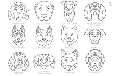 Dog head Silhouettes in alphabet order. All dog breeds. Simple line vector design. Vector illustration clipart