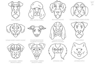 Köpek kafası siluetleri alfabe sırasına göre. Bütün köpek türleri. Basit çizgi vektör tasarımı. Vektör illüstrasyonu