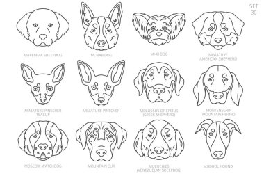 Köpek kafası siluetleri alfabe sırasına göre. Bütün köpek türleri. Basit çizgi vektör tasarımı. Vektör illüstrasyonu