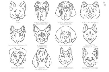 Köpek kafası siluetleri alfabe sırasına göre. Bütün köpek türleri. Basit çizgi vektör tasarımı. Vektör illüstrasyonu