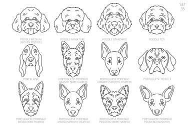 Köpek kafası siluetleri alfabe sırasına göre. Bütün köpek türleri. Basit çizgi vektör tasarımı. Vektör illüstrasyonu