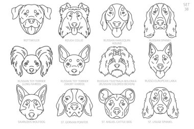 Köpek kafası siluetleri alfabe sırasına göre. Bütün köpek türleri. Basit çizgi vektör tasarımı. Vektör illüstrasyonu