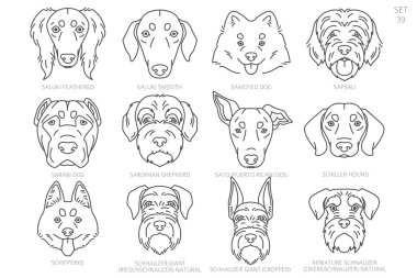 Köpek kafası siluetleri alfabe sırasına göre. Bütün köpek türleri. Basit çizgi vektör tasarımı. Vektör illüstrasyonu