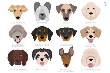 Köpek kafası alfabe sırasına göre. Bütün köpek türleri. Renk vektör tasarımı. Vektör illüstrasyonu