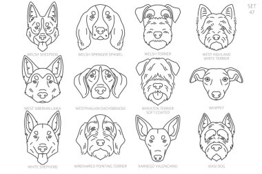 Köpek kafası siluetleri alfabe sırasına göre. Bütün köpek türleri. Basit çizgi vektör tasarımı. Vektör illüstrasyonu