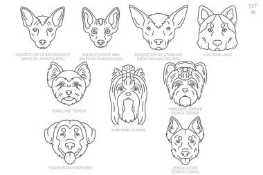 Köpek kafası siluetleri alfabe sırasına göre. Bütün köpek türleri. Basit çizgi vektör tasarımı. Vektör illüstrasyonu
