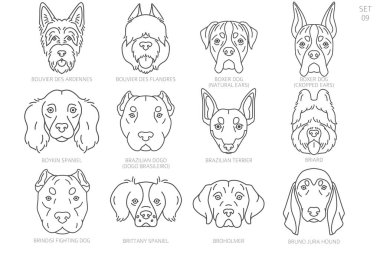 Dog head Silhouettes in alphabet order. All dog breeds. Simple line vector design. Vector illustration clipart