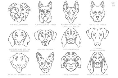 Köpek kafası siluetleri alfabe sırasına göre. Bütün köpek türleri. Basit çizgi vektör tasarımı. Vektör illüstrasyonu