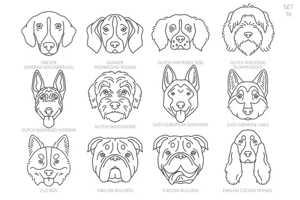 stock vector Dog head Silhouettes in alphabet order. All dog breeds. Simple line vector design. Vector illustration