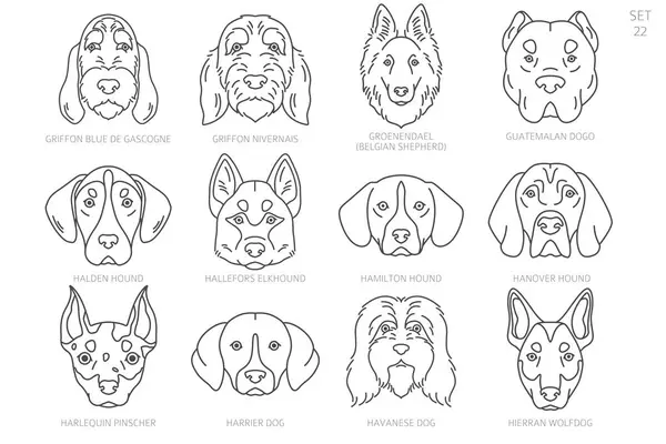 stock vector Dog head Silhouettes in alphabet order. All dog breeds. Simple line vector design. Vector illustration