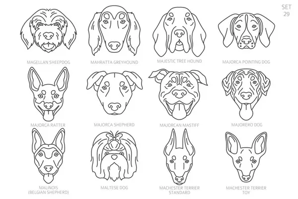 stock vector Dog head Silhouettes in alphabet order. All dog breeds. Simple line vector design. Vector illustration