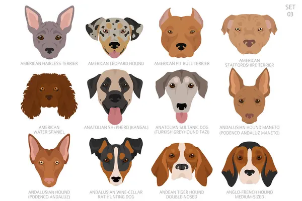 stock vector Dog head in alphabet order. All dog breeds. Colour vector design. Vector illustration