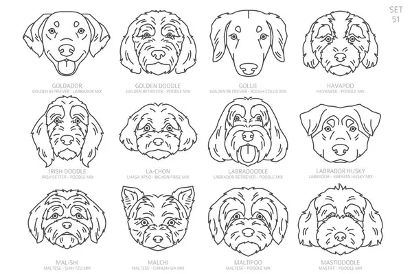 Tasarımcılar: Köpek kafası siluetleri alfabe sırasına göre. Bütün köpek melezleri. Basit çizgi vektör tasarımı. Vektör illüstrasyonu