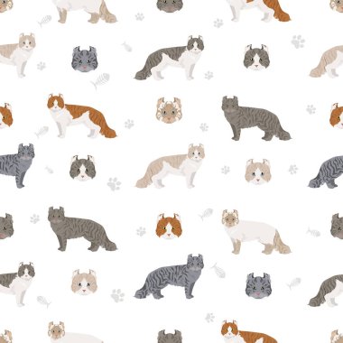 Amerikan kıvırcık kedisi kusursuz desen. Tüm ceket renkleri ayarlandı. Tüm kediler karakteristik bilgi kaynaklarına sahiptir. Vektör illüstrasyonu