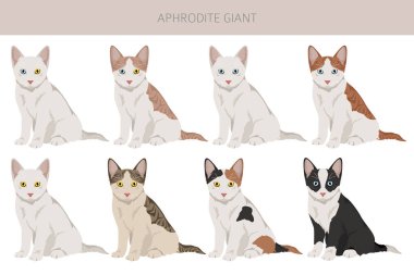 Afrodit Devi. Kıbrıslı kedi tırmanışı. Tüm ceket renkleri ayarlandı. Tüm kediler karakteristik bilgi kaynaklarına sahiptir. Vektör illüstrasyonu