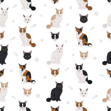 Amerikan Polydactyl kedisi kusursuz desen. Tüm ceket renkleri ayarlandı. Tüm kediler karakteristik bilgi kaynaklarına sahiptir. Vektör illüstrasyonu