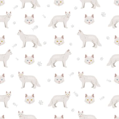 Afrodit Devi. Kıbrıs kedisi pürüzsüz desen. Tüm ceket renkleri ayarlandı. Tüm kediler karakteristik bilgi kaynaklarına sahiptir. Vektör illüstrasyonu