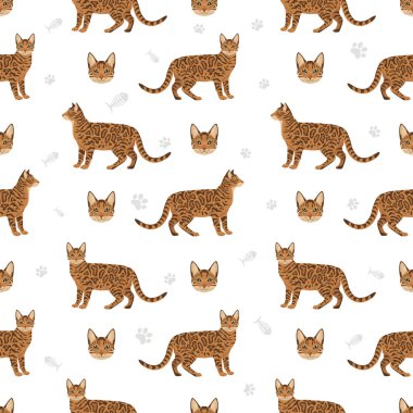 Bengal Kedisi kusursuz desen. Tüm ceket renkleri ayarlandı. Tüm kediler karakteristik bilgi kaynaklarına sahiptir. Vektör illüstrasyonu