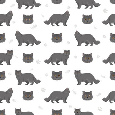 Uzun saçlı İngiliz kedisi kusursuz desen. Tüm ceket renkleri ayarlandı. Tüm kediler karakteristik bilgi kaynaklarına sahiptir. Vektör illüstrasyonu