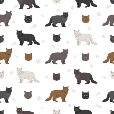 Chantilly Tiffany Kedisi kusursuz desen. Tüm ceket renkleri ayarlandı. Tüm kediler karakteristik bilgi kaynaklarına sahiptir. Vektör illüstrasyonu