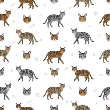 Çin Ejderhası Li Kedisi kusursuz desen. Tüm ceket renkleri ayarlandı. Tüm kediler karakteristik bilgi kaynaklarına sahiptir. Vektör illüstrasyonu