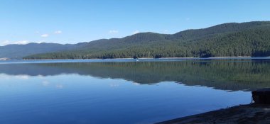 Bulgar Rodop Dağları. Dospat Gölü. Balkanlar. Sarnitsa, Pazardzhik Eyaleti. Orman manzarasına yakın çekim